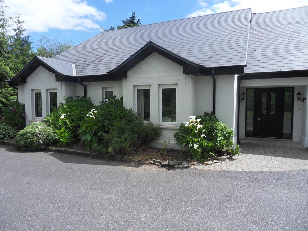 Ethan House Holiday Suites 基拉尼 外观 照片